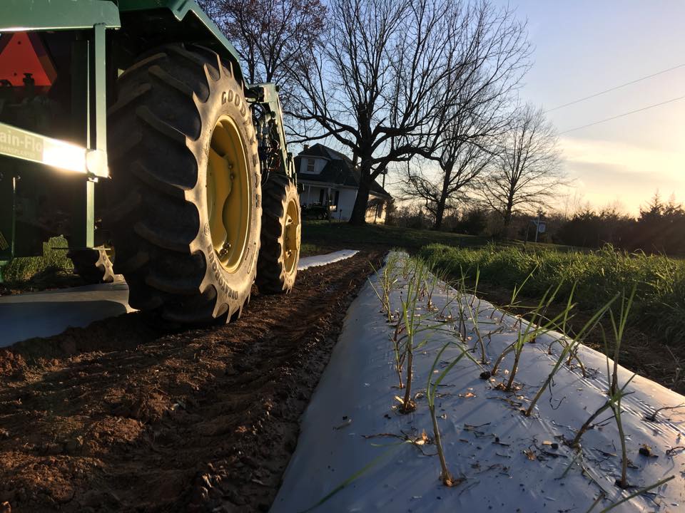 Cottage Hill Farm Cover Photo